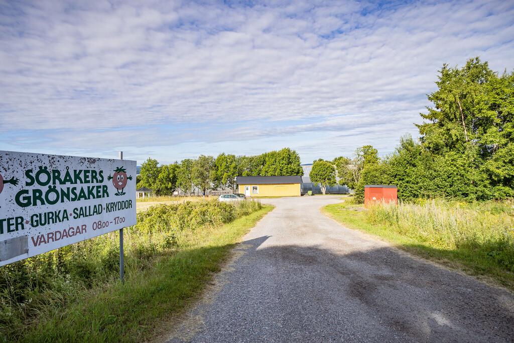 Söråker Grönsaker – En unik möjlighet att förverkliga dina odlingsdrömmar