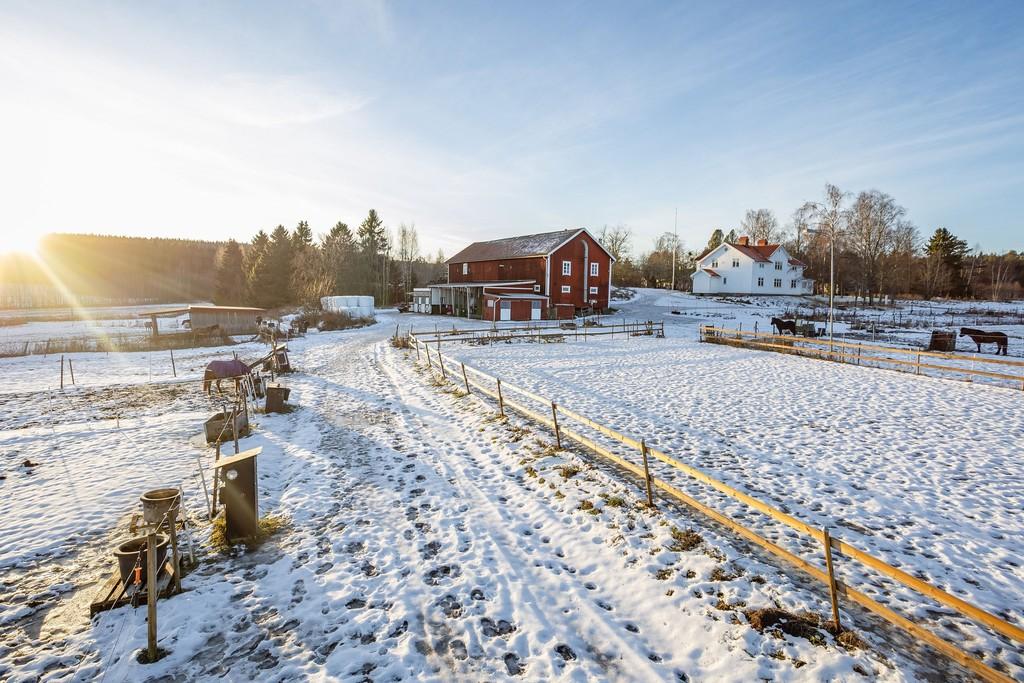 Välskött hästgård med centralt läge bild 3