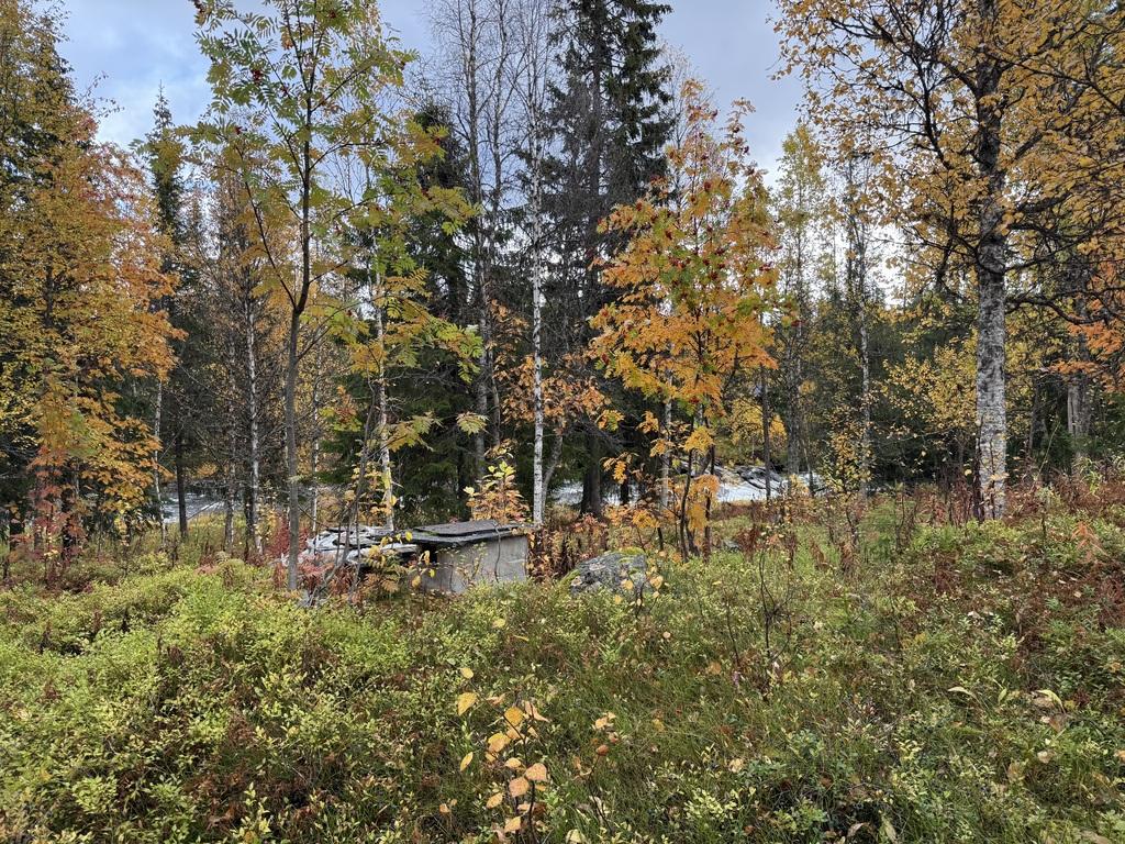 Korpåvägen 22 – Skapa ditt eget fjällparadis vid Korpån bild 3