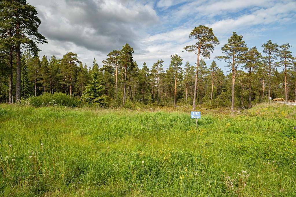 Fem havsnära tomter på Alnö – bygg drömboendet i Krokviksberget bild 2