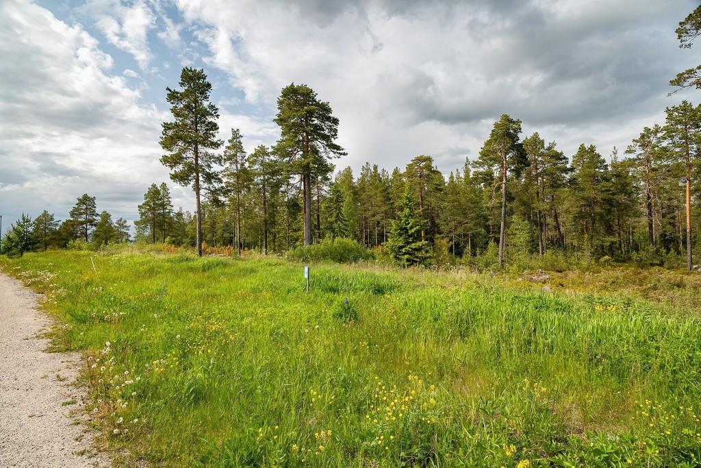 Fem havsnära tomter på Alnö – bygg drömboendet i Krokviksberget bild 3