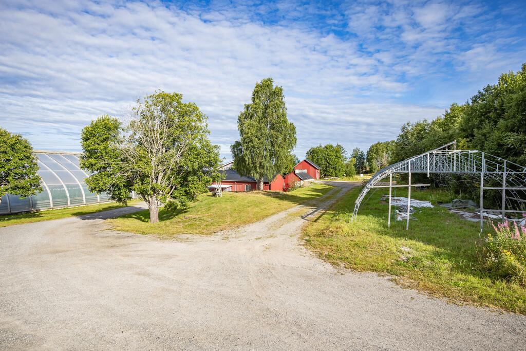 Söråker Grönsaker – En unik möjlighet att förverkliga dina odlingsdrömmar bild 2