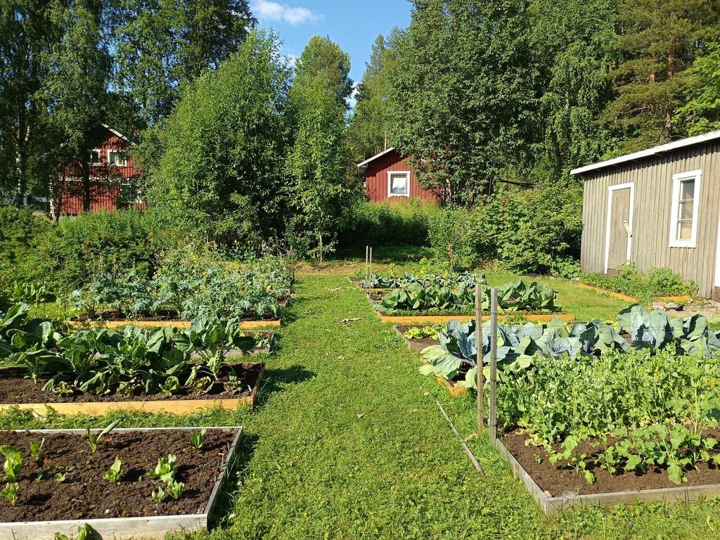 Gård med skogsmark och odlingsmöjligheter i Västra Ormsjö bild 3