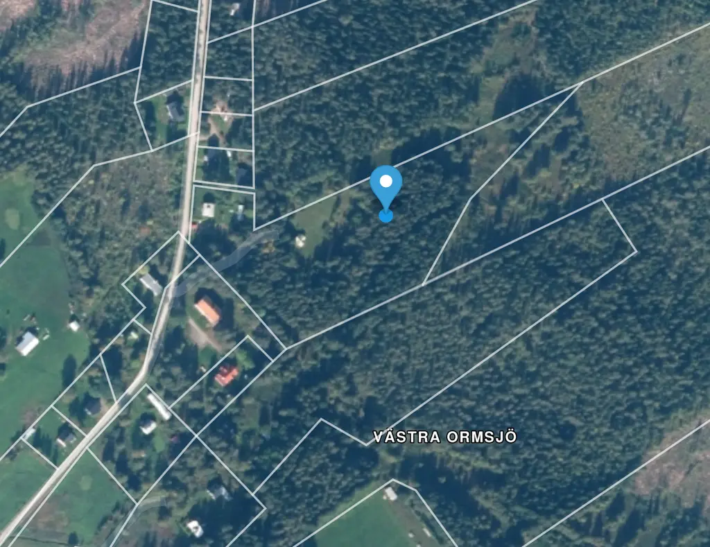 Gård med skogsmark och odlingsmöjligheter i Västra Ormsjö bild 2