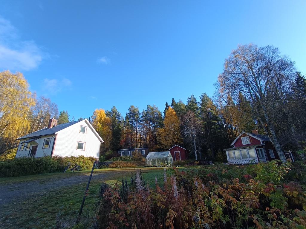 Gård med skogsmark och odlingsmöjligheter i Västra Ormsjö